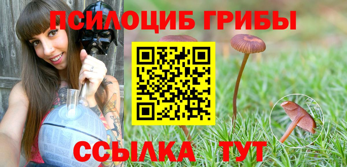 Галлюциногенные грибы ЛСД  Галлюциногенные грибы Cubensis  Смоленск  Вход с VPN 